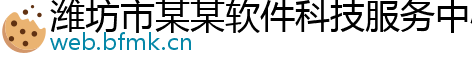 潍坊市某某软件科技服务中心